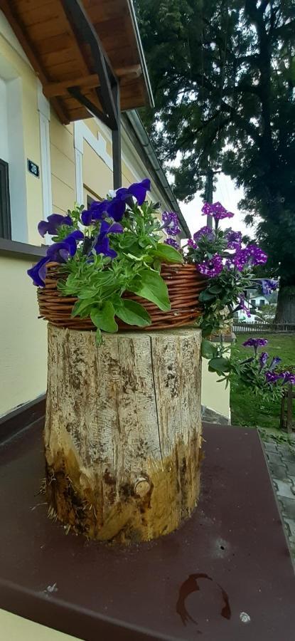 Penzion U Draci Skaly Hotel Svojse Exterior photo